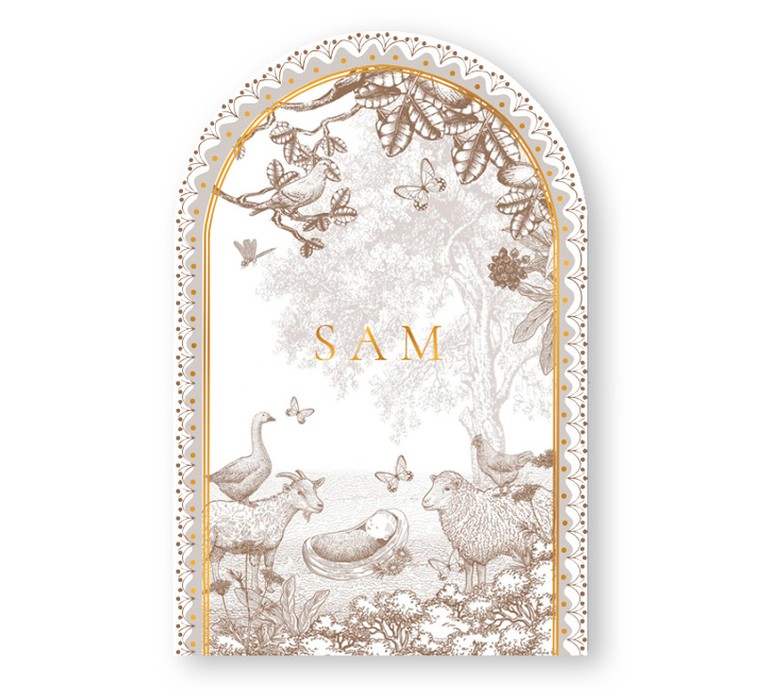 Geboortekaartje platteland met bomen en boerderij dieren. Gedrukt in bijzonder formaat, namelijk in boogvorm met prachtig illustratief kader. De monotonen van de illustratie met schaap, geit en gans zijn er in verschillende kleuren.