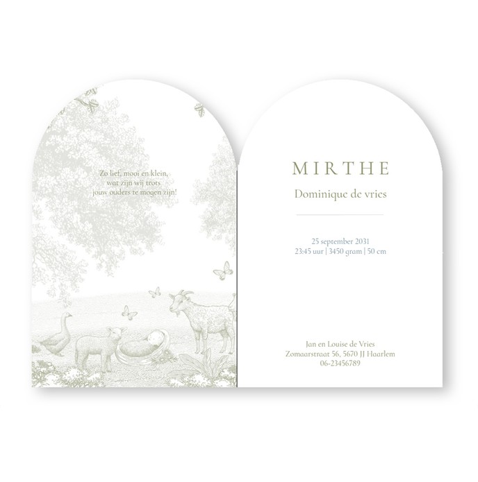 Geboortekaartje met schaap, geit en gans. Een illustratie waarin het platteland met weiland en de boerderij centraal staan. Een sereen geboortekaartje in monotoon en verkrijgbaar in verschillende tinten. De baby in de natuur op jullie geboortekaartje.