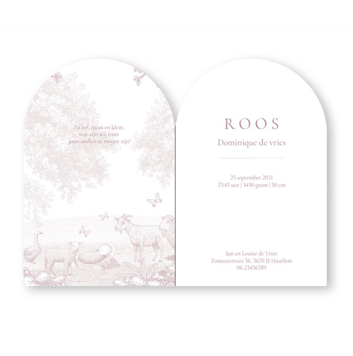 Geboortekaartje platteland met bomen en boerderij dieren. Gedrukt in bijzonder formaat, namelijk in boogvorm met prachtig illustratief kader. De monotonen van de illustratie met schaap, geit en gans zijn er in verschillende kleuren.