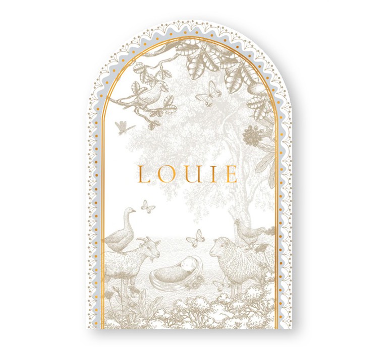 Geboortekaartje boogvorm wiegje met boerderij dieren