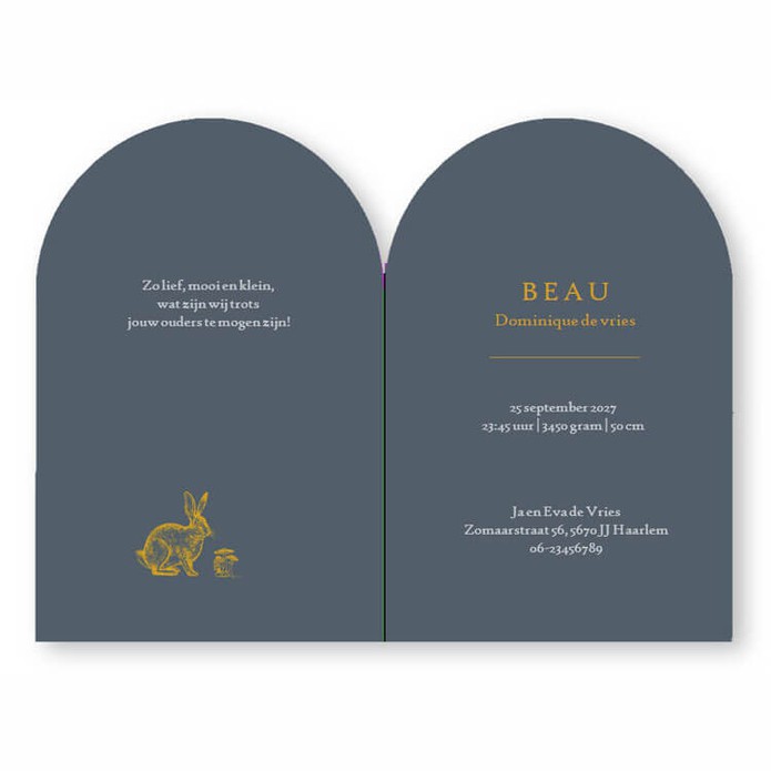 Geboortekaartje met hertje in boogvorm. Minimalistisch met een mooi kadertje en lijntekening van paddenstoelen.