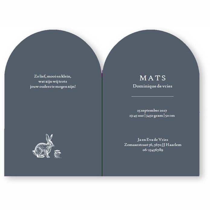 Geboortekaartje met hertje in boogvorm. Minimalistisch met een mooi kadertje en lijntekening van paddenstoelen.