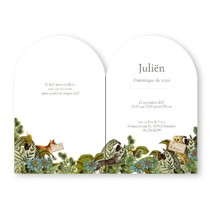 Geboortekaartje in boogvorm met huis in bos. De bosdieren wandelen om het huis en bezorgen de post. Er is een baby geboren! Een geboortekaartje die opvalt tussen alle andere, vraag eens een proefkaartje aan.