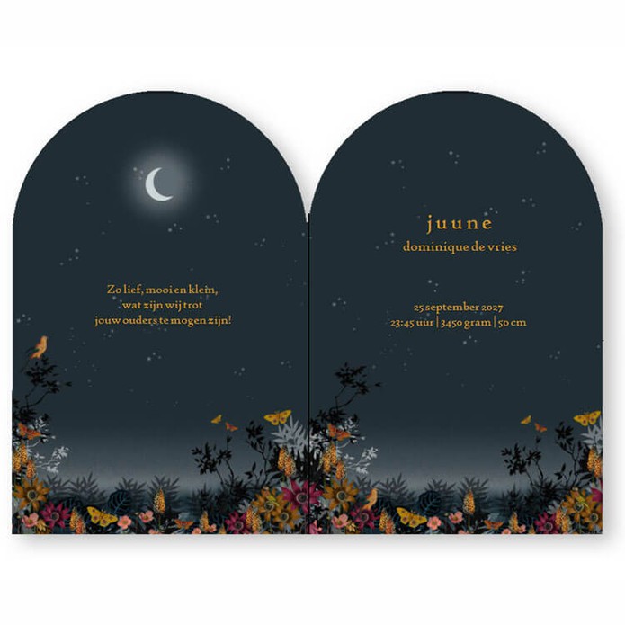 Zebra bij het maanlicht in boogvorm