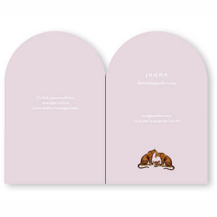 Geboortekaartje in boogvorm, een bijzondere toepassing voor een uniek geboortekaartje. De afbeelding komt speels tot zijn recht door de vorm van de luchtballon.