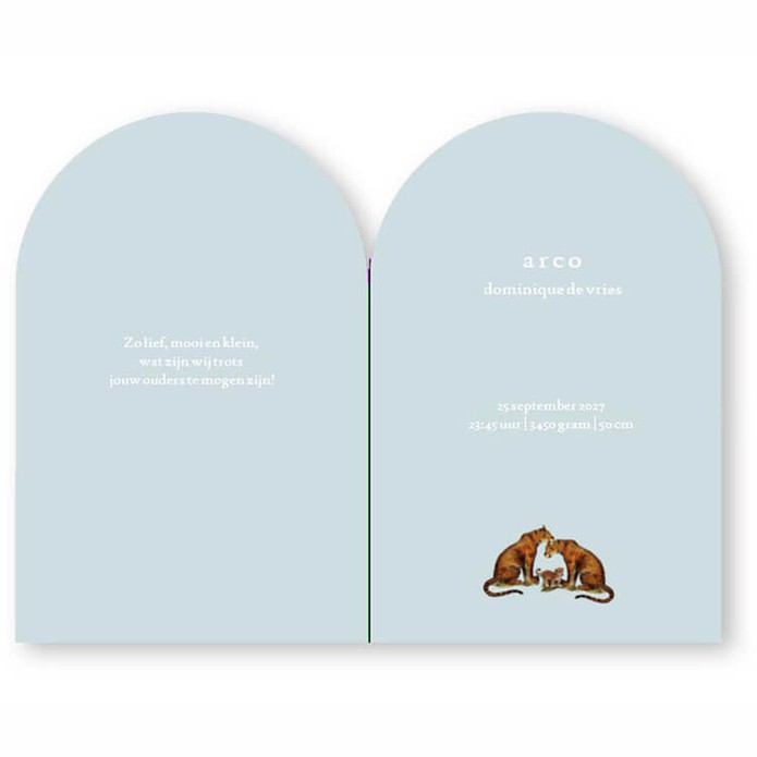 Geboortekaartje boogvorm met luchtballon in de jungle