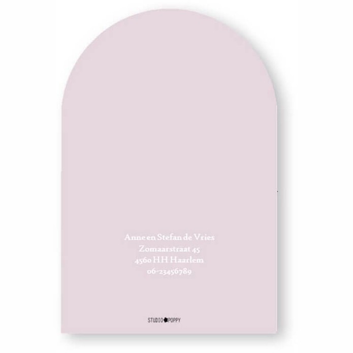 Geboortekaartje in boogvorm, een bijzondere toepassing voor een uniek geboortekaartje. De afbeelding komt speels tot zijn recht door de vorm van de luchtballon.