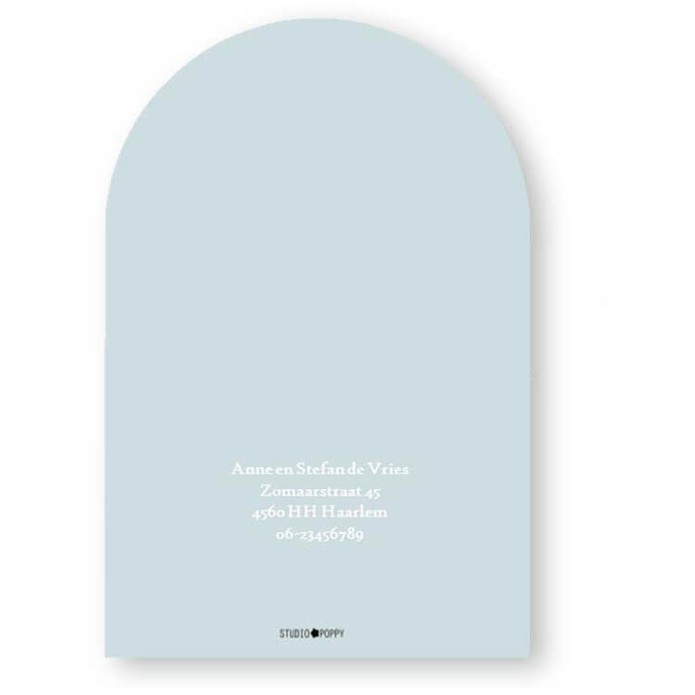 Geboortekaartje boogvorm met luchtballon in de jungle