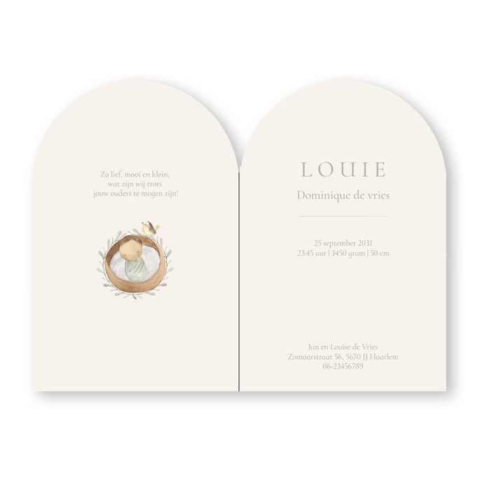 Geboortekaartje boogvorm mandje met baby