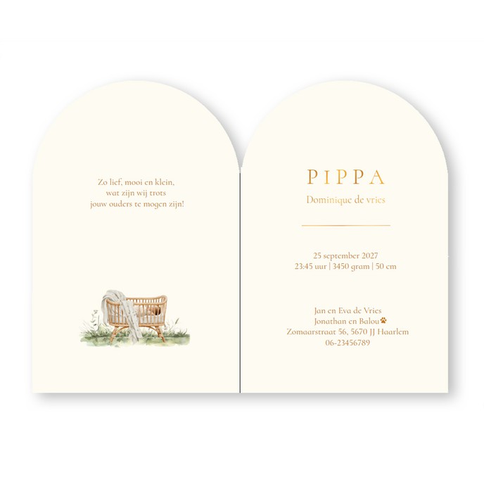 Geboortekaartje met boog en mooi kadertje. Op het geboortekaartje staat een grote boom in watercolor afgebeeld waar een wiegje aan hangt. Grote broer en de hond komen even kijken hoe het met de baby gaat die lekker ligt te slapen.