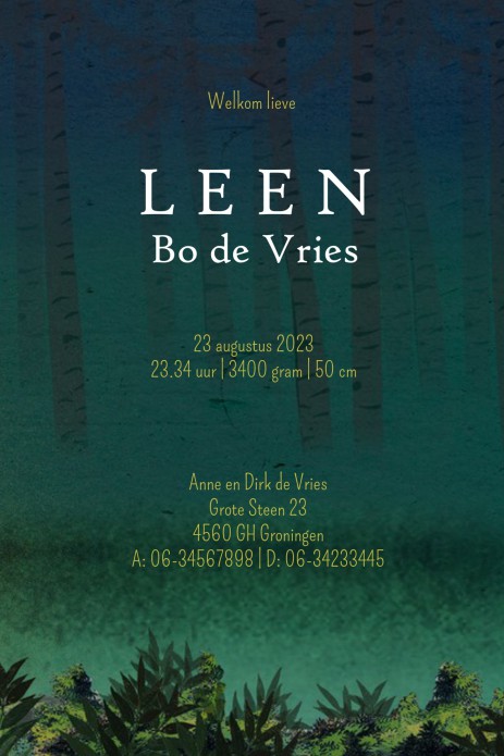 Geboortekaartje bos met beren in de nacht. Beetje retro maar vooral een heel illustratief geboortekaartje waar je zelf items aan toe kunt voegen of kunt weghalen. Experimenteer ook zelf eens met de kleuren. Een gratis proefkaartje laat zien dat wij uitste