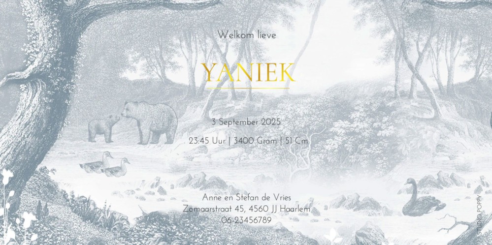 Geboortekaartje forest met bosdieren vintage mono blauw. Een sprookjesachtig bos met hert, beren en konijn in mono tinten. Verkrijgbaar in vintage groen, bruin en blauw, uniseks en genderneutraal geboortekaartje in romantisch hippe stijl. Bosdieren komen 