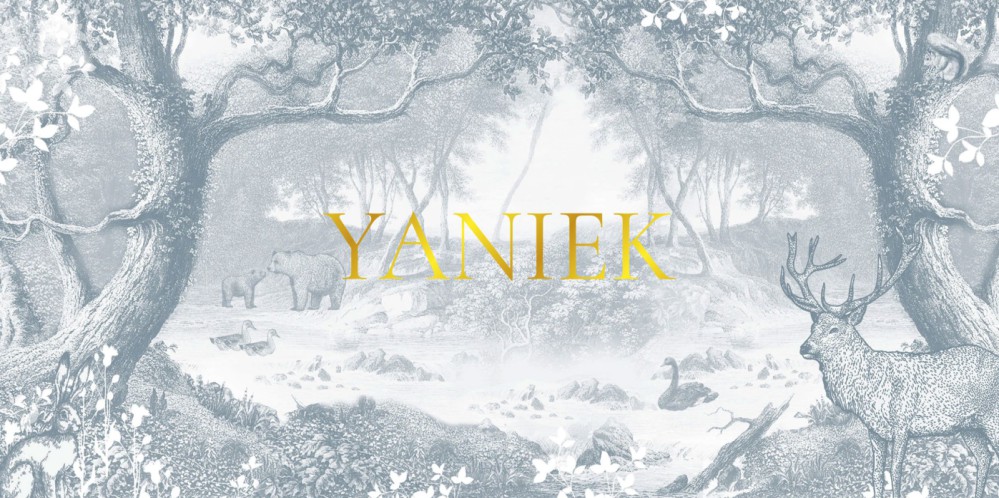 Geboortekaartje bos in mono tint vintage blauw