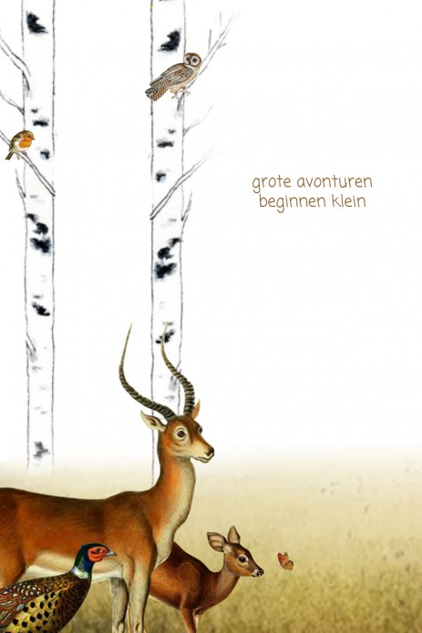 kaart binnenzijde links