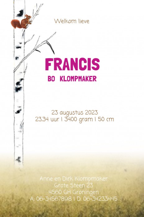 Geboortekaartje bos met herten, stekelvarken, fazant, eekhoorn en vos. Beetje retro maar vooral een heel illustratief geboortekaartje waar je zelf items aan toe kunt voegen of kunt weghalen. Experimenteer ook zelf eens met de kleuren. Vraag een gratis pro