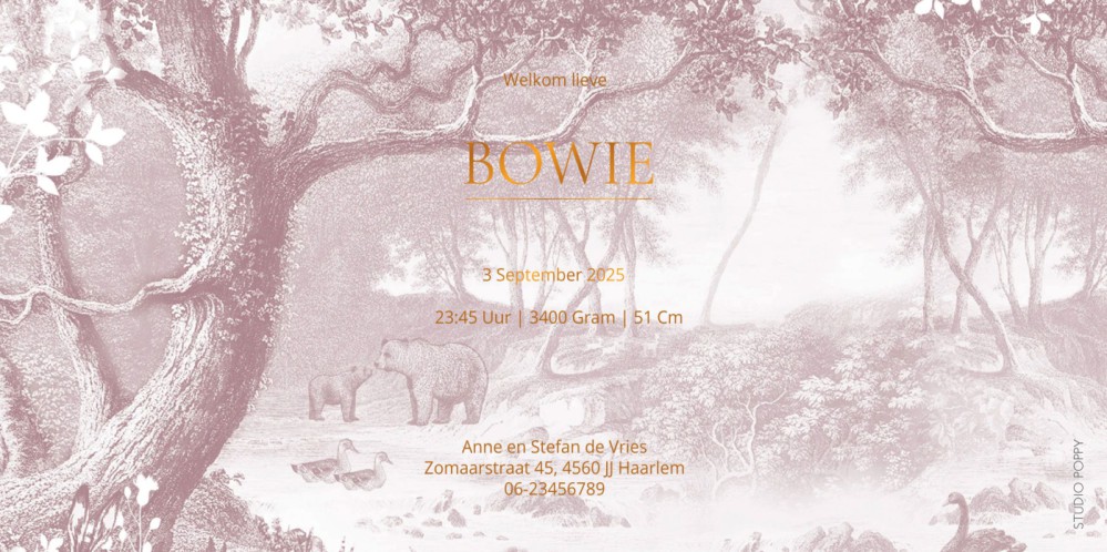 Geboortekaartje forest met bosdieren vintage roze mono. Een sprookjesachtig bos met hert, beren en konijn in mono tinten. Verkrijgbaar in vintage groen, bruin en blauw, uniseks en genderneutraal geboortekaartje in romantisch hippe stijl. Bosdieren komen k