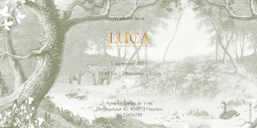 Geboortekaartje forest met bosdieren vintage groen. Een sprookjesachtig bos met hert, beren en konijn in mono tinten. Verkrijgbaar in vintage groen, bruin en blauw, uniseks en genderneutraal geboortekaartje in romantisch hippe stijl. Bosdieren komen kijke