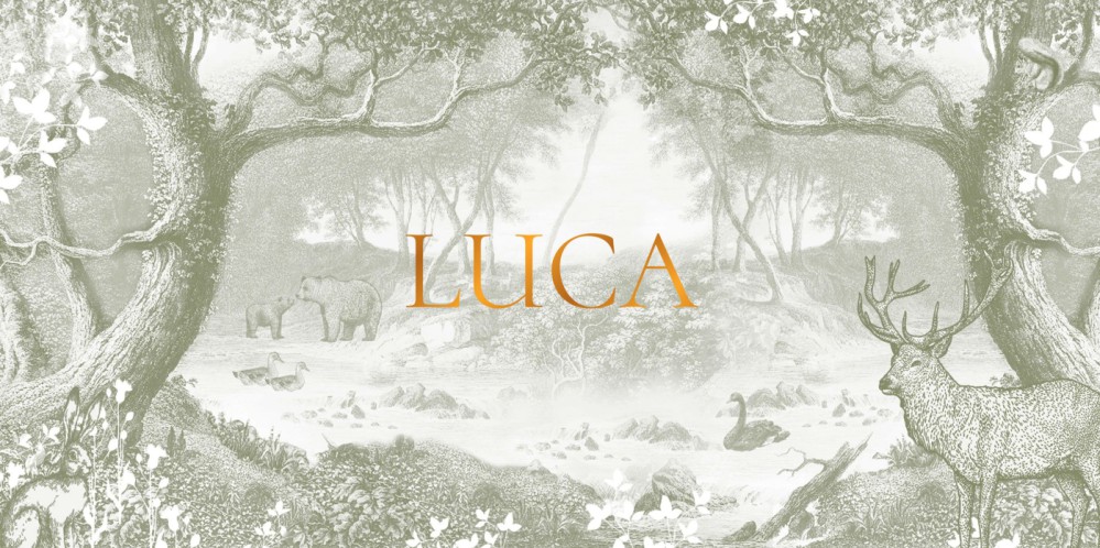 Geboortekaartje bos in mono tint vintage groen