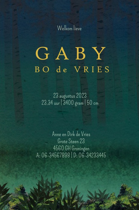 folie geboortekaartje van beren in het bos. De lantaarntjes zijn van echte folie en lijken zo op echte lichtgevende lantaarntjes! heel illustratief geboortekaartje waar je zelf items aan toe kunt voegen of kunt weghalen. Experimenteer ook zelf eens met de