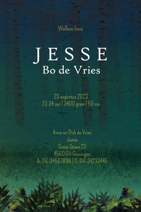 Geboortekaartje illustratie bos is een leuk illustratief kaartje met beren. Het retro geboortekaartje is verkrijgbaar in verschillende kleuren en je kunt zelf items toevoegen of weghalen. Zo maak je jouw eigen unieke geboortekaartje. Een proefdruk is grat