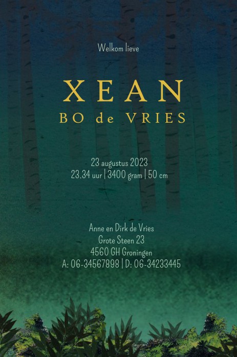 Geboortekaartje romantisch bos met beren waarbij de lantaarntjes in echte folie zijn gedrukt! Twee kindjes maar je kunt ook een beertje weghalen wanneer het jullie eerste kindje is. Een proefkaart behoort tot de mogelijkheden om zelf je ideale keuze te ku