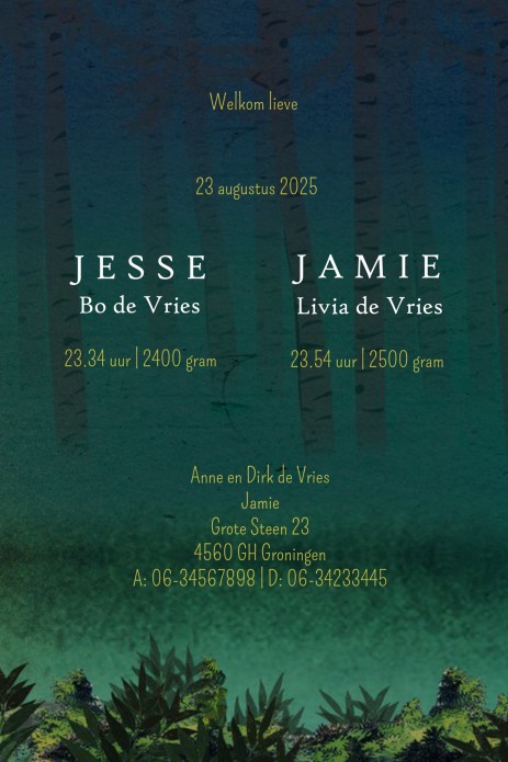 Geboortekaartje bos met beren tweeling, illustratief geboortekaartje voor niet één maar twee nieuwe baby's! Zelf kun je het ontwerp aanpassen in de ontwerptool. Lief en bijzonder geboortekaartje waar je jouw eigen draai aan kan geven. Vraag eens de gratis