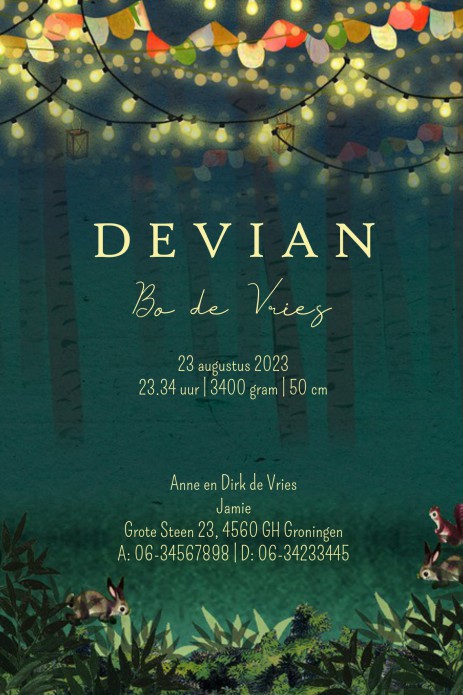 Geboortekaartje in het bos met dieren die rond het kampvuur dansen. Een fantasierijke illustratie in avontuurlijke sfeer. De bosdieren vieren feest met muziek, gezellige verlichting en vlaggetjes. Het geboortekaartje is ook met folie verkrijgbaar. Bestel 