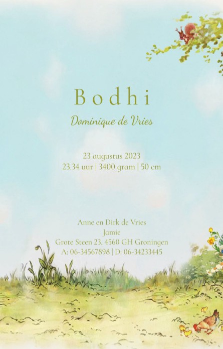 Lief geboortekaartje met baby in de tuin met grote zus. De baby ligt in het mozeswiegje en is omringd door lieve bosdieren zoals het hert, konijn en eekhoorn. Het mandje met baby kan ook nog vergezeld worden door grote broer of zus die bloemen heeft meege