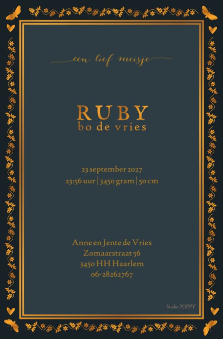 Illustratief geboortekaartje met afbeelding van zebra's bij het maanlicht. Het illustratieve kader geeft het kaartje een nog unieker ontwerp. Is dit geboortekaartje iets voor jullie? Vraag eens de gratis proefdruk aan!