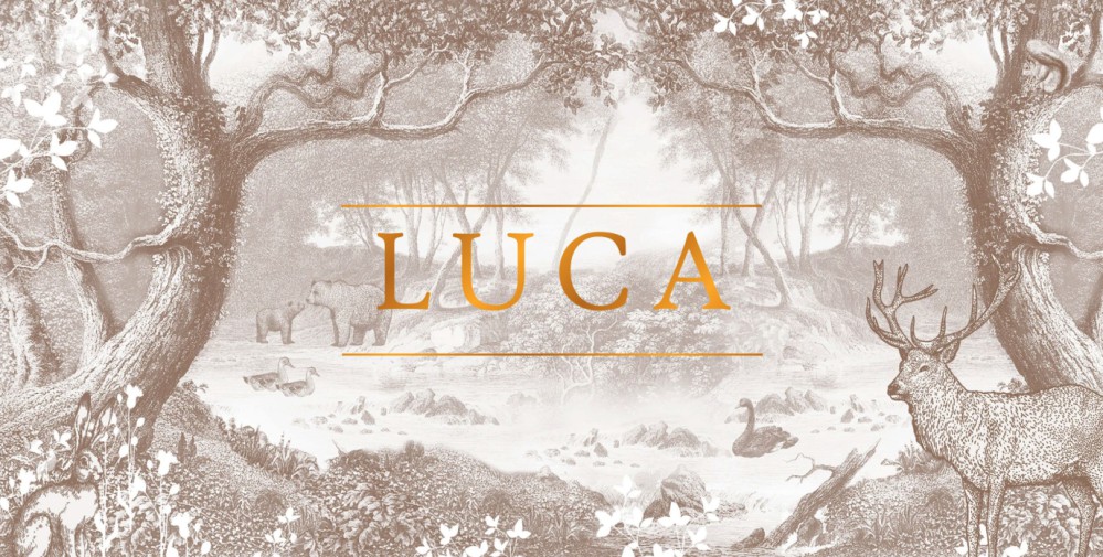 Geboortekaartje bos in mono kleuren