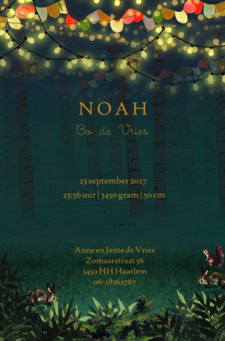 Geboortekaartje in het bos met dieren die rond het kampvuur dansen. Een fantasierijke illustratie in avontuurlijke sfeer. De bosdieren vieren feest met muziek, gezellige verlichting en vlaggetjes. Het geboortekaartje is ook met folie verkrijgbaar. Bestel 