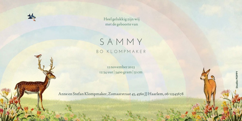 Geboortekaartje met regenboog en wiegje waar alle bosdieren uit het bos een kijkje komen nemen. Sereen geboortekaartje met illustratie van dieren en natuur. Retro vintage beeld dat tijdloos is. Wil je een preofkaartje ontvangen? Dat kan!