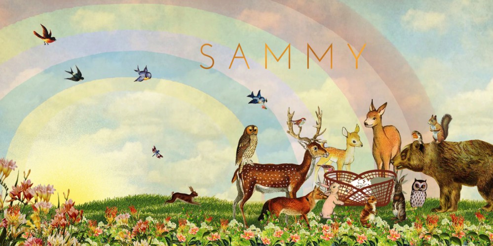 Geboortekaartje bosdieren kijken bij de baby