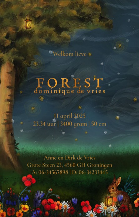 Geboortekaartje dieren in het bos zoals het hert en de vos. De maan geeft licht in het bos en de dieren dragen lantaarntjes.