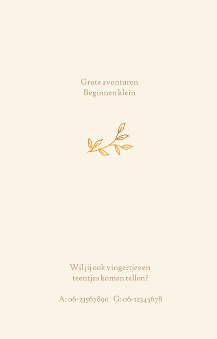 kaart binnenzijde links