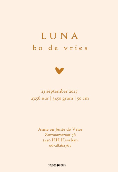 Geboortekaartje vintage botanisch folklore is helemaal de trend van geboortekaartje 2022. Beetje folkloristisch, illustratief, er is een patroontje zichtbaar in de mooiste kleuren. Hier zie je vintage botanische elementen bewerkt tot weelderige geboorteka