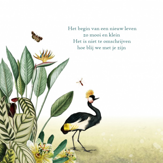 kaart binnenzijde links