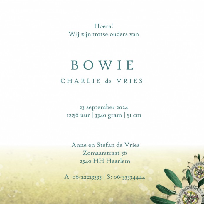 Prachtige botanisch geboortekaartje met kraanvogels en watercolour details. Het kaartje is met en zonder foliedruk te bestellen. Een uniek geboortekaartje waar je zelf als ontwerper mee aan de slag kan. Je creëert een geboortekaartje die niemand anders he