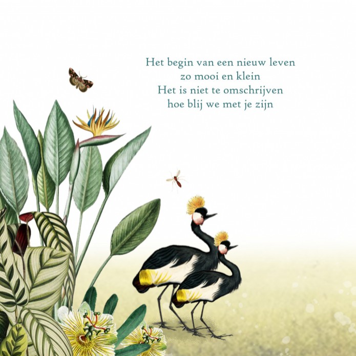 kaart binnenzijde links