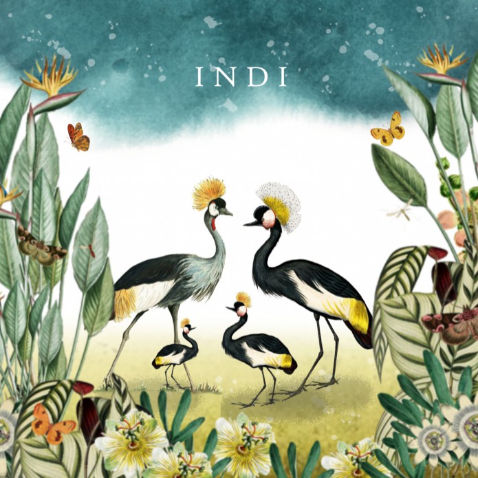 Geboortekaartje botanisch tropisch kraanvogel met broertje of zusje