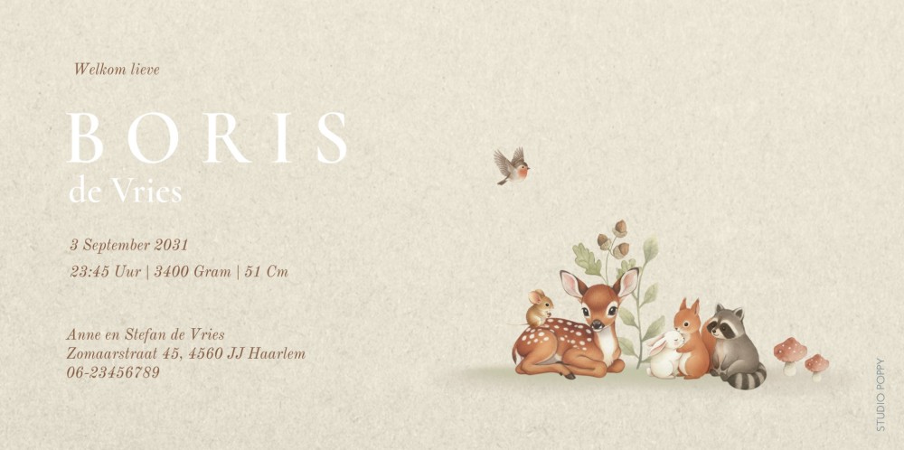 Geboortekaartje met naam en bosdieren. Een liggend formaat geboortekaart waar de naam mooi over de hele breedte kan staan. Voor een illustratief geboortekaartje zijn er bosdieren en paddenstoelen toegevoegd.