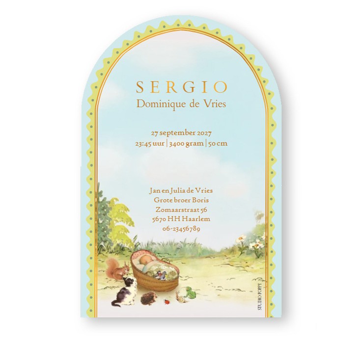 Geboortekaartje boogvorm met prachtige decoratie. De grote broer staat naast het mandje in de tuin. In de mand ligt de pasgeboren baby en heeft veel bekijks. Allerlei dieren hebben zich verzameld rond het wiegje en zijn erg benieuwd naar het broertje of z