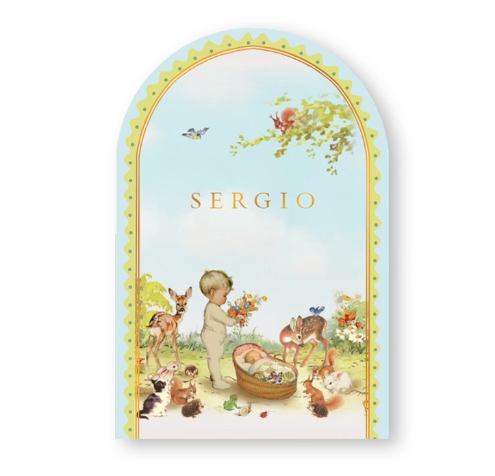 Geboortekaartje boogvorm met prachtige decoratie. De grote broer staat naast het mandje in de tuin. In de mand ligt de pasgeboren baby en heeft veel bekijks. Allerlei dieren hebben zich verzameld rond het wiegje en zijn erg benieuwd naar het broertje of z