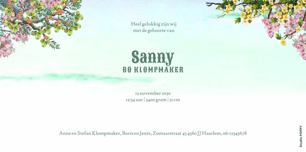 Geboortekaartje met circus stoet met dieren zoals de leeuw, tijger, zebra, beer, nijlpaard, panda en giraffe. Een bonte gezellige stoet dat verder trekt met het circus. Er is zoveel te zien, een illustratief geboortekaartje met vrolijk karakter.