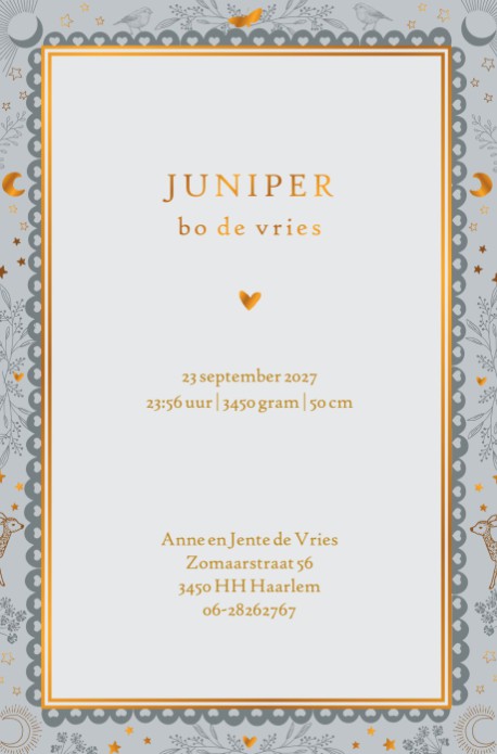 Geboortekaartje fases van de maan in lieve pastel tinten. Een bohemian decoratief geboortekaartje met of zonder foliedruk te bestellen. De fases van de maan en sterren staan prachtig op jullie geboortekaart.