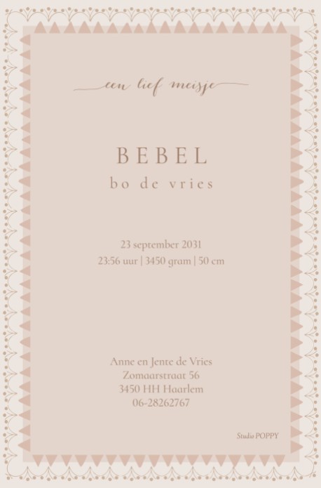 Bijzonder geboortekaartje met baby in mozes wiegje. Handgeschilderd en het bijzondere kader maakt het een uniek geboortekaartje. Er staan ook broertjes en zusjes in de beeldbank die toe te voegen zijn.