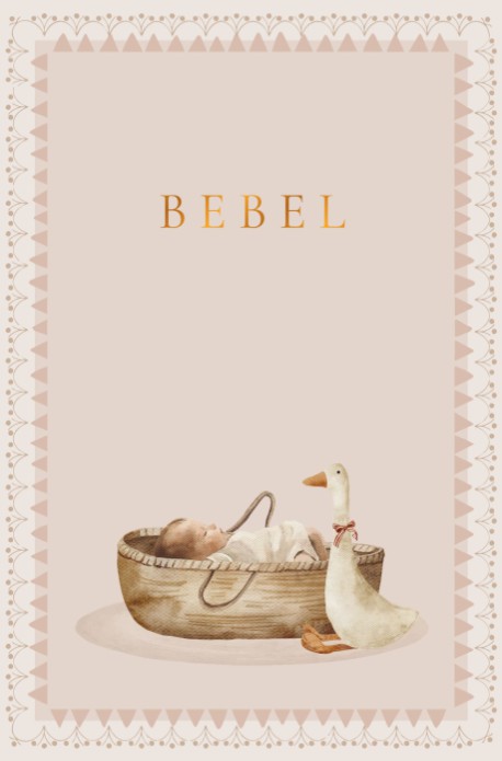 Geboortekaartje baby in mozes wiegje met knuffel