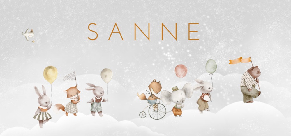 Een sprookjesachtig geboortekaartje met wolken en een dieren parade. Ballonnen als kadootje voor het pasgeboren babietje. Met de hand geschilderde aquarel diertjes in prachtige kleuren. In de beeldbank kun je nog meer beeldmateriaal vinden.