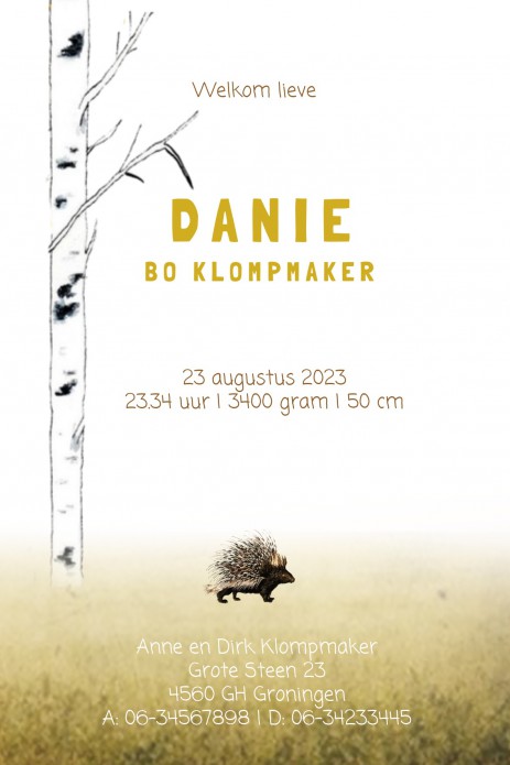 Geboortekaartje dieren woud met herten. Beetje retro maar vooral een heel illustratief geboortekaartje waar je zelf items aan toe kunt voegen of kunt weghalen. Experimenteer ook zelf eens met de kleuren. Een gratis proefkaartje laat zien dat wij uitsteken