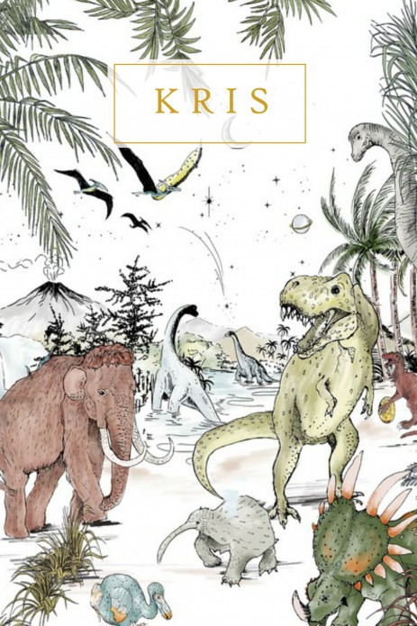 Geboortekaartje 'Prehistoric' van Annet Weelink Design